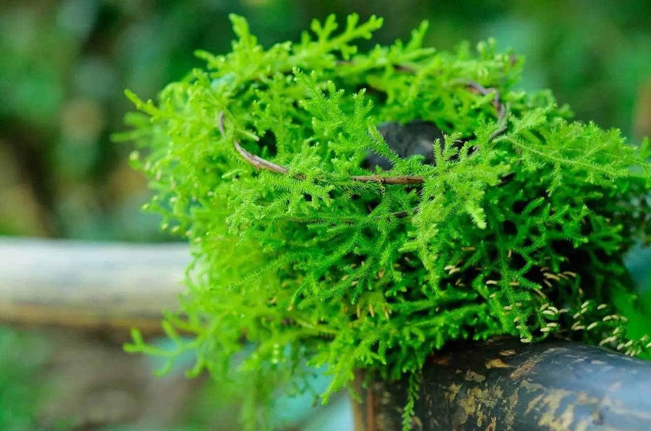 诗情画意广西,广西诗情画意