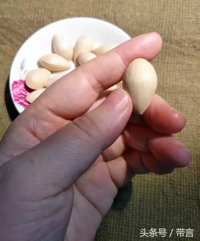 美梅的梦想｜世界最古老植物的馈赠——泰兴银杏