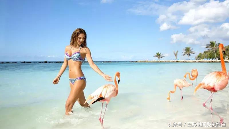 废纸时间！足球明星的另一半哪一款是你喜欢的？