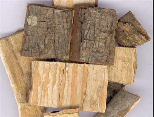 楝木皮有什么功效,楝木的功效