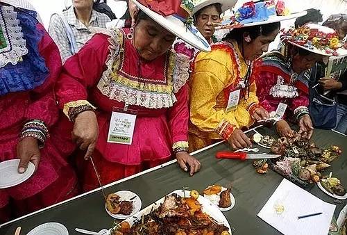 秘鲁巨型荷兰猪真的有吗,秘鲁荷兰猪巨型