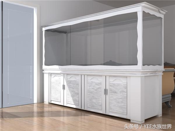 鱼缸不是特别清澈,鱼缸是不是越简单越好