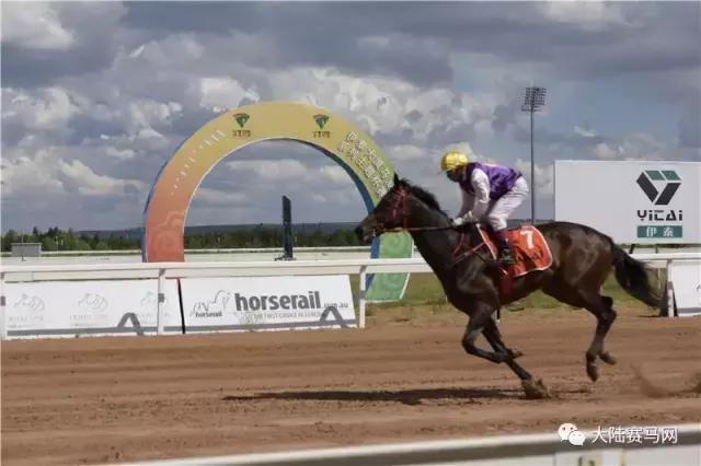 2019骞村唴钂欏彜閫熷害璧涢┈,鍐呰挋璧涢┈椹笟