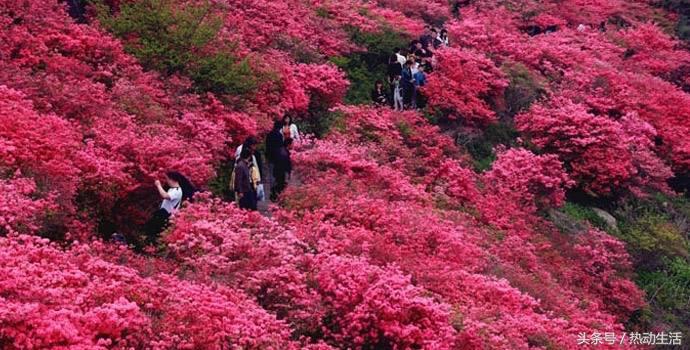 10个可行的创业项目,十个最好投资的城市