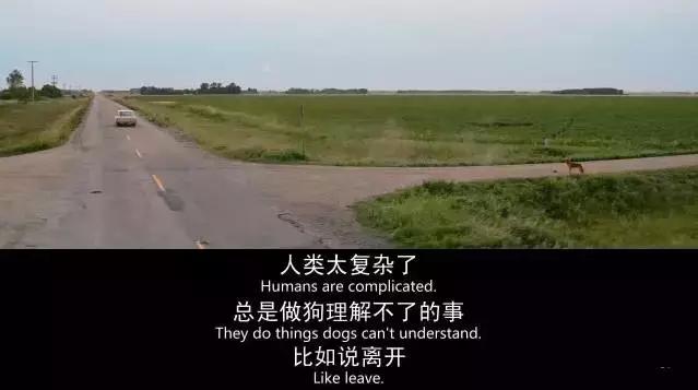 小蓝看电视剧全集,小蓝看电影