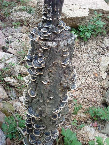 鲁山画眉谷一日游攻略,平顶山画眉谷一日游费用