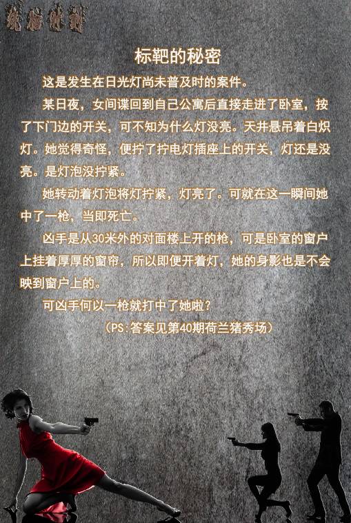 秘鲁巨型荷兰猪真的有吗,秘鲁荷兰猪巨型