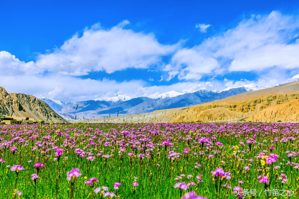 中国竹笛基础知识,竹笛跟笛子有什么区别