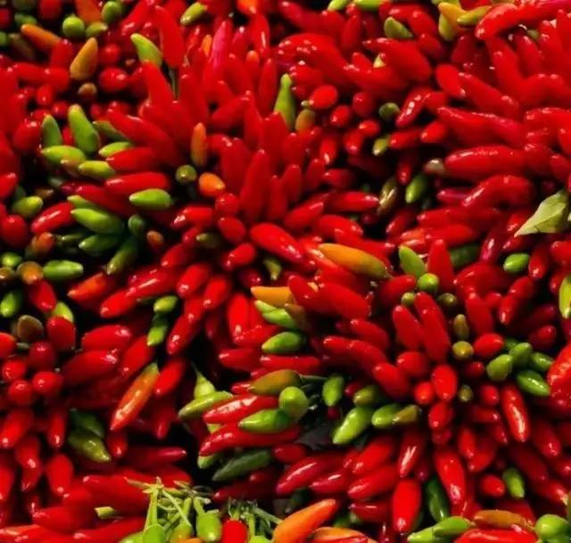 梅雨季防霉的东西,梅雨时节防霉最佳方法