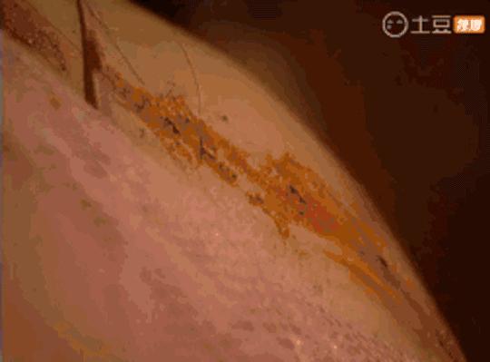 武林外史白飞飞排行榜,武林外史白飞飞很坏吗