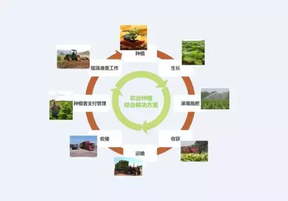 看清这三大趋势，农资市场大有可为！