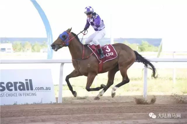 2019骞村唴钂欏彜閫熷害璧涢┈,鍐呰挋璧涢┈椹笟