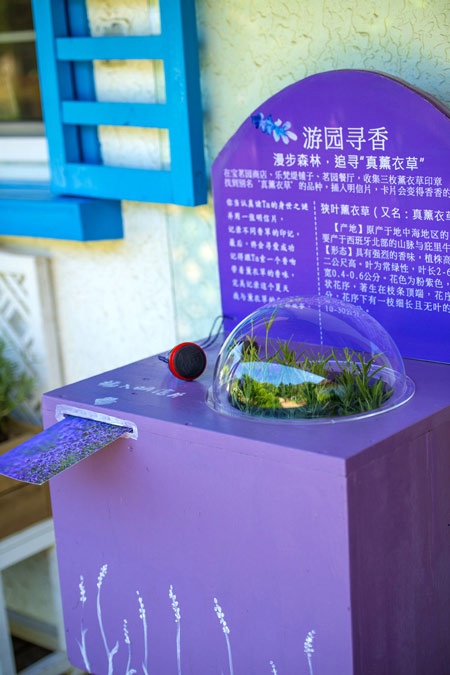 云峰山景区薰衣草2018年价格,云峰山薰衣草花海