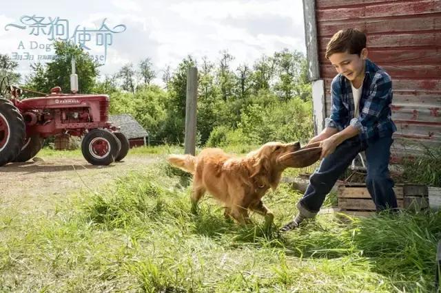 小蓝看电视剧全集,小蓝看电影
