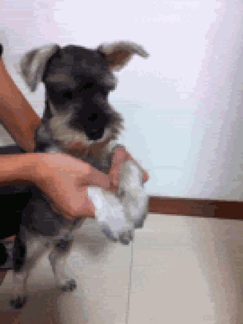 小蓝看电视剧全集,小蓝看电影