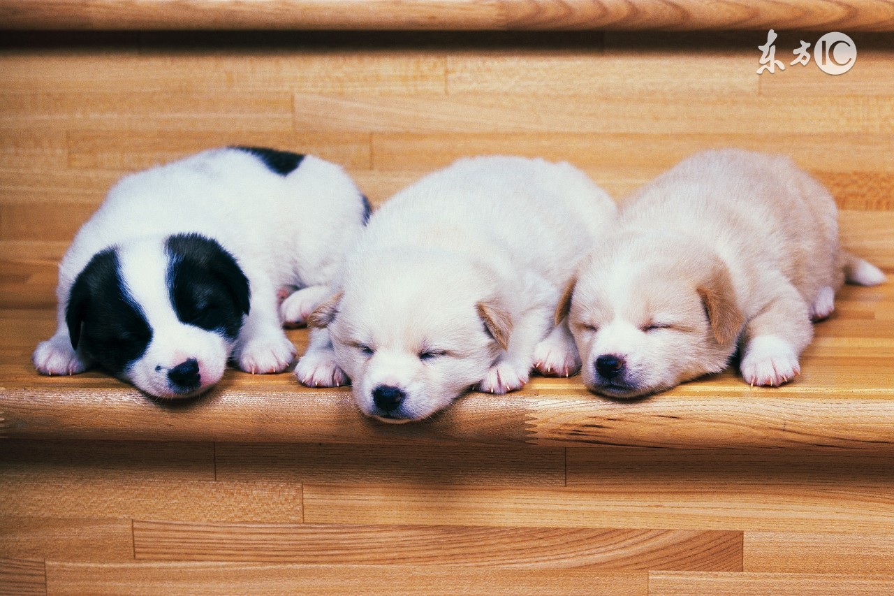 夏天来了浑身无力是什么原因,夏天体温多少受不了