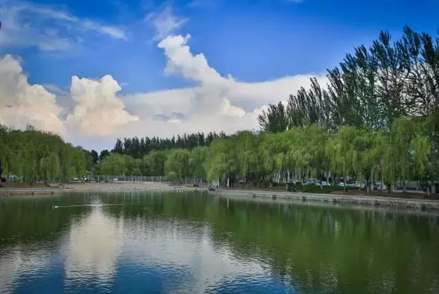 沈阳师范大学青春,再见青春沈阳