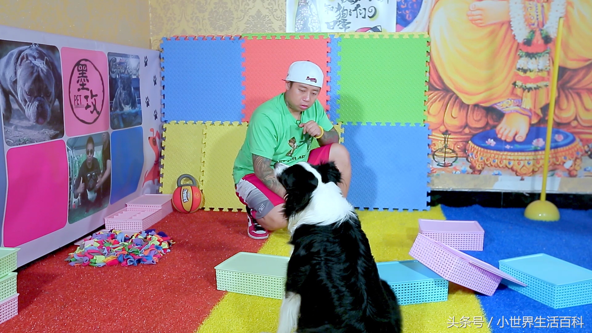 激发狗狗的潜能,狗狗嗅觉灵敏到什么程度