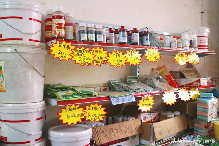 贵港农村淘宝试点调查：卖的没有买的多？本地“土货”如何实现走出去