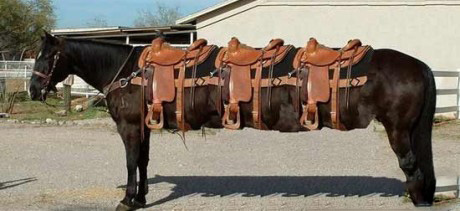 宝马限量公路车,宝马限量四门