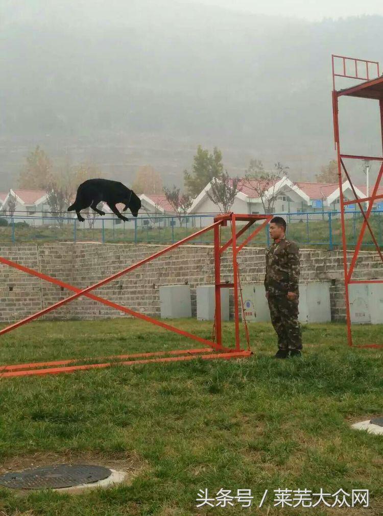 莱芜爱心救援志愿者在行动,应急救援志愿服务队
