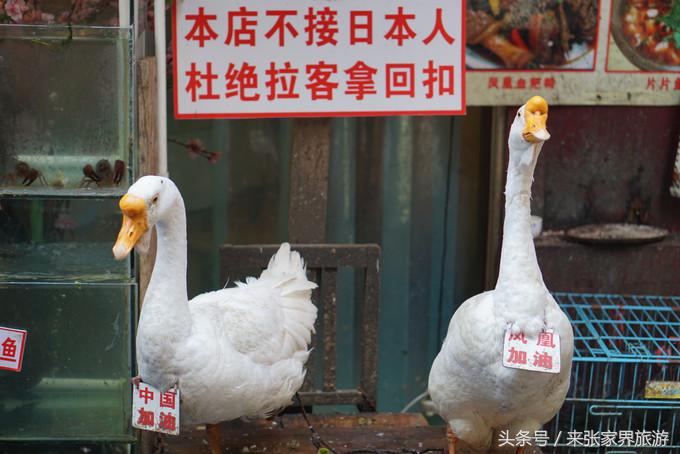 凤凰三日游详细旅游路线,凤凰三天游