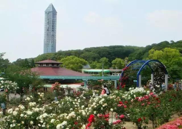 名古屋鳗鱼饭菜单三人套餐,名古屋美食旅游攻略