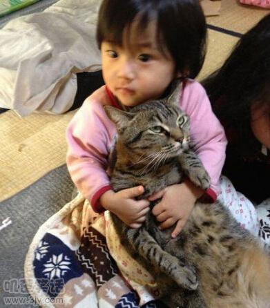 舔第二碗时，丈母娘拉我的手说：放这儿吧！等下我来洗