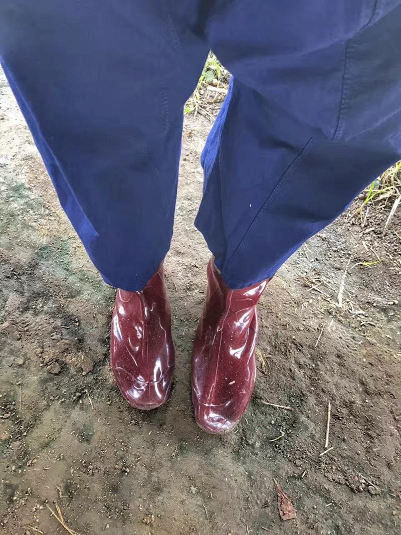 曼谷夜生活游记,泰国曼谷旅行攻略图片高清