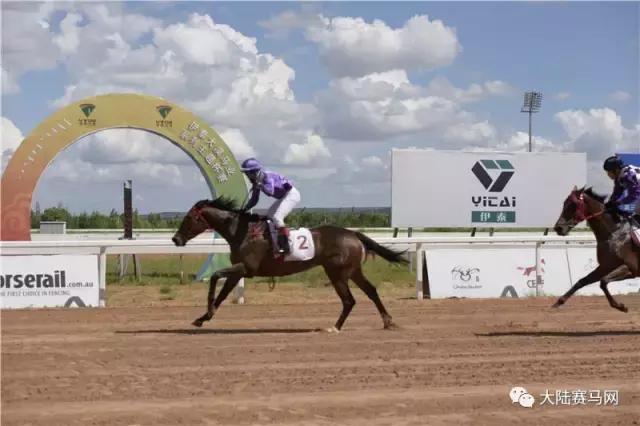 2019骞村唴钂欏彜閫熷害璧涢┈,鍐呰挋璧涢┈椹笟