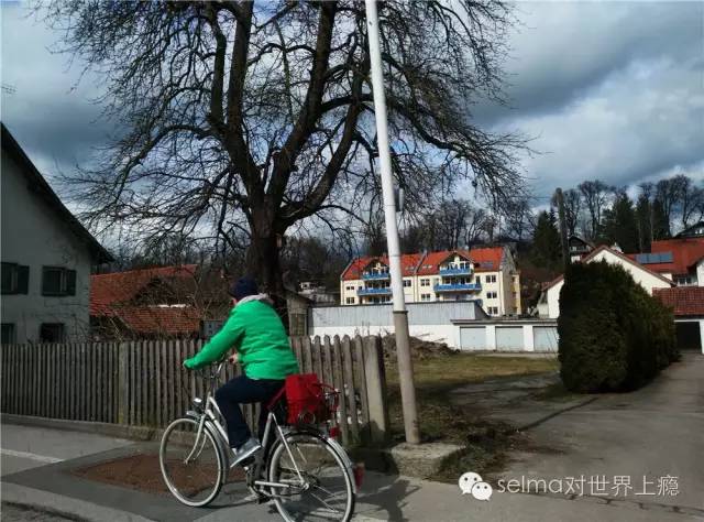 慕尼黑天鹅城堡内部,德国慕尼黑天鹅