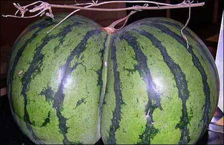 宝马限量公路车,宝马限量四门