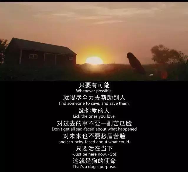 小蓝看电视剧全集,小蓝看电影