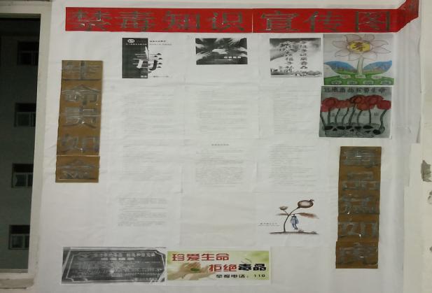 望谟第六中学禁毒,安龙县小学禁毒知识进校园简报