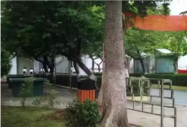 *江阳**人，你是哪所小学毕业的呢？！