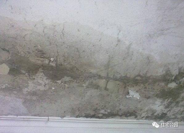 一到下雨家里漏雨,一到下雨就漏雨怎么办