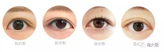 美妆睫毛夹推荐哪款好用又实惠,美妆工具好物推荐卷发