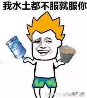 滨海新区租房800能租到什么样的,滨海新区租房一个月多少钱