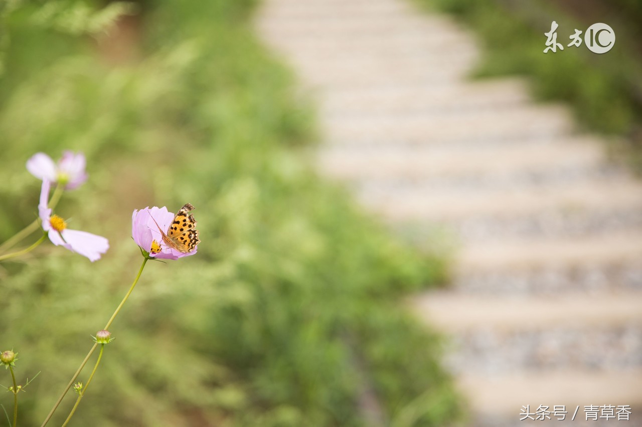 八字吉神趋势越多越好吗,八字中的吉神有哪些