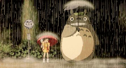 梅雨季防霉的东西,梅雨时节防霉最佳方法