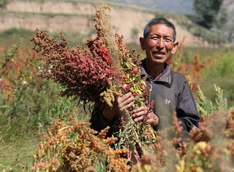 甘肃农民的创业经历,甘肃致富经养鸡