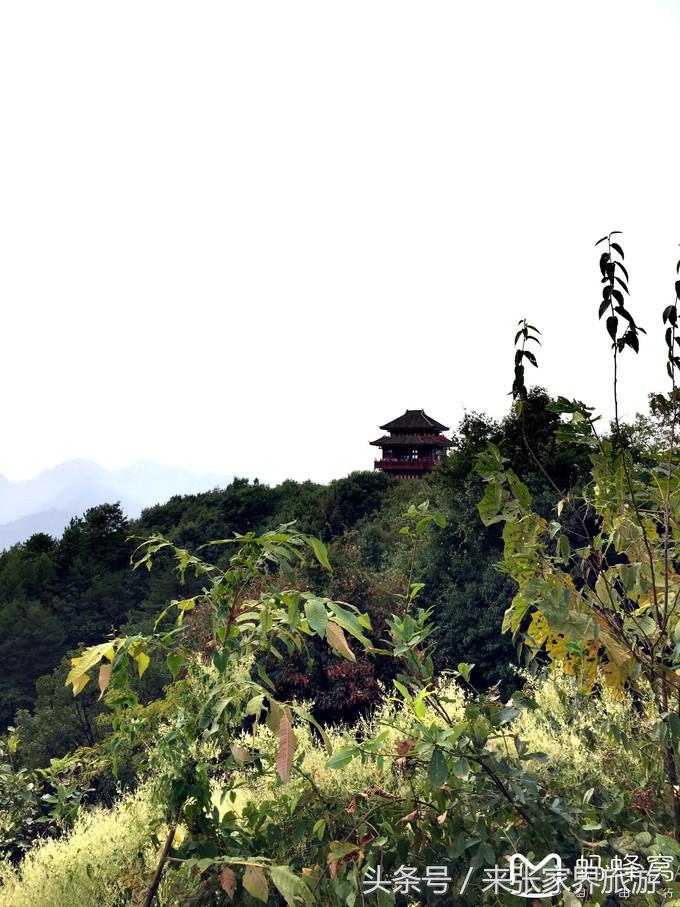 张家界五日游多少钱一个人 (自己张家界六日游详细攻略)