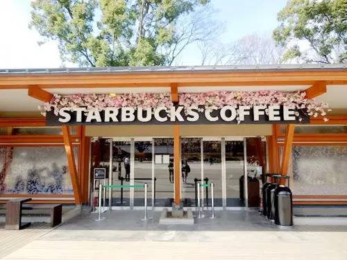 关于星爸爸的日常,星爸爸知识