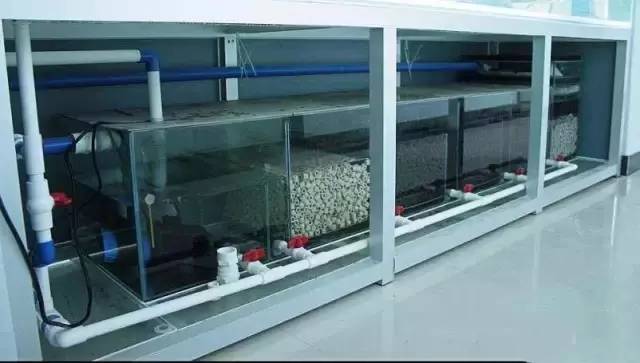 底滤能不能均衡,底滤能不能不用