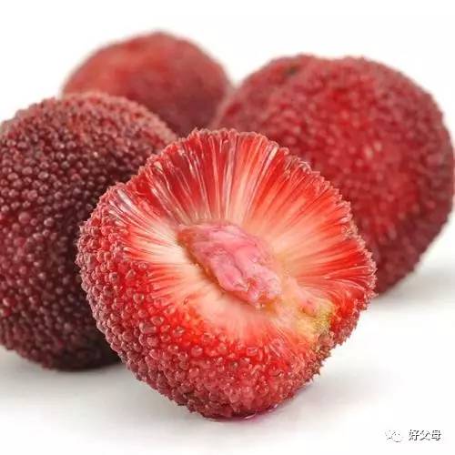 吃杨梅把籽也吞了,为什么吃杨梅嘴里会破皮