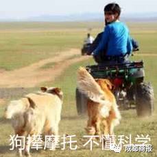 39.5℃高烧五天！妈妈不让1岁女儿去医院，还拒绝用药！她的话惊人……