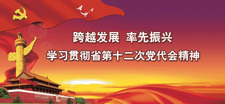 我在这里等你！格桑花怒放喜迎大批摄影“发烧友”