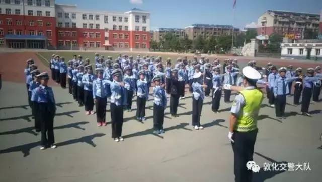 全市礼让斑马线行动,礼让斑马线文明交通实施方案