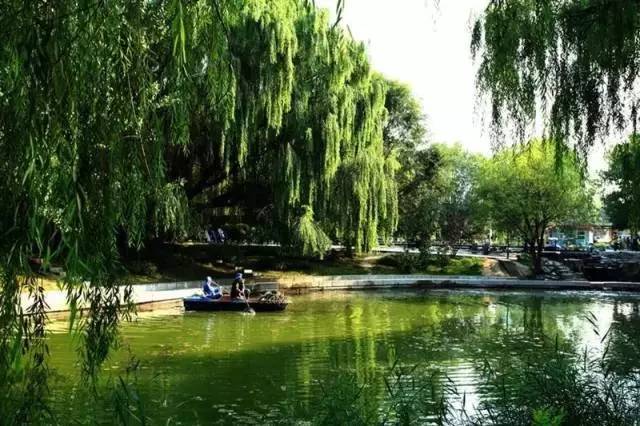 「生活」看到这些遛弯圣地，你还能允许自己晚饭后窝在沙发上长肉吗？