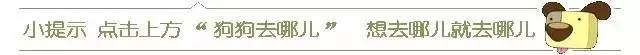 狗狗生病不爱吃饭，狗主人拿来食物，这个喂法也是没谁了